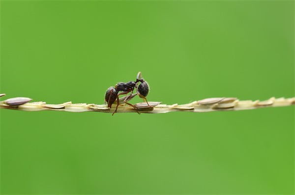 高考励志班级霸气押韵口号