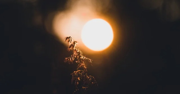 教育企业的宣传口号 石油企业宣传口号