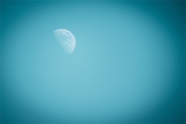 校园垃圾分类宣传标语(生活垃圾分类宣传语大全)