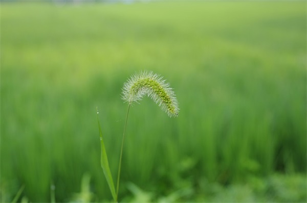 中考祝福语搞笑22句
