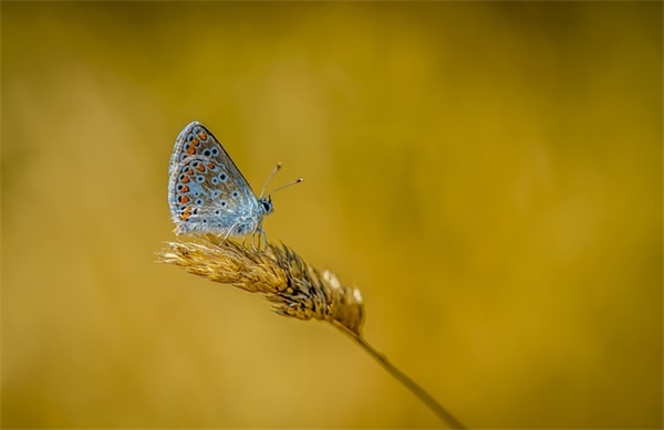 公司开业祝福语四字成语 开业祝福语四字成语