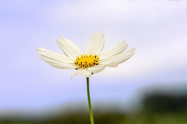 春节搞笑的祝福短信大全