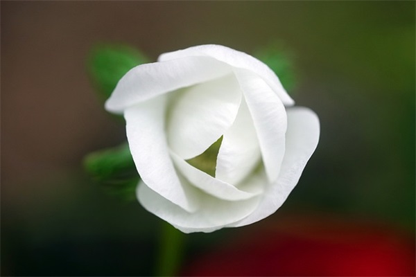 中考祝福语英语