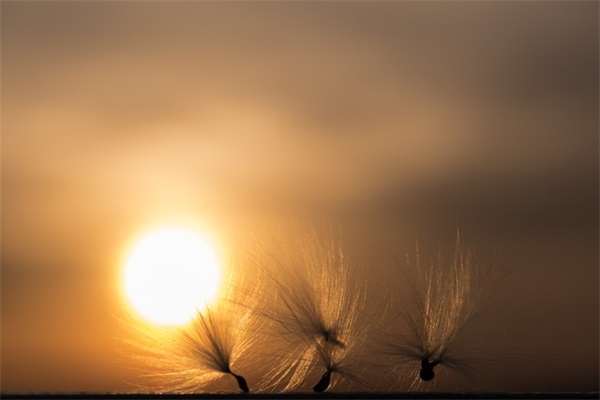 男生生日快乐祝福语