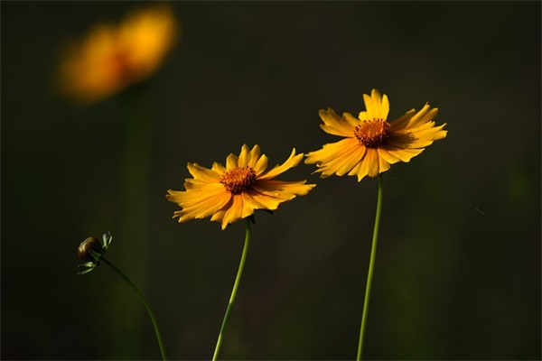 搞笑的结婚祝福语简短