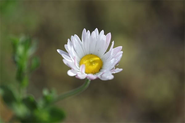 经典的周末祝福语大全 经典生日祝福语大全