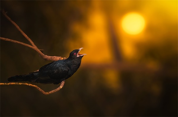 真挚的生日快乐祝福语(生日祝福语独特暖心真挚)