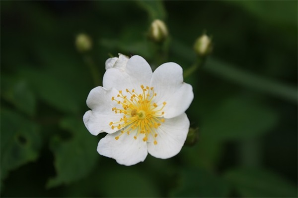 兄弟协会换届祝福语 兄弟商会换届贺词