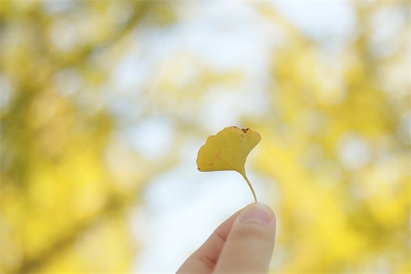 五字销售口号霸气押韵