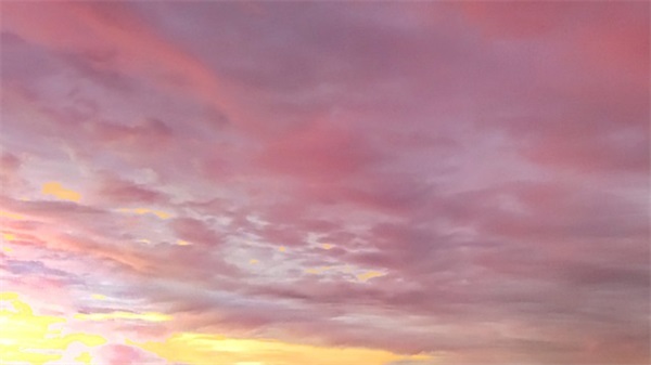 写两句保护环境的口号