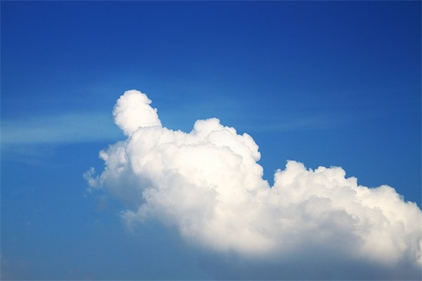 销售团队队名口号价值观