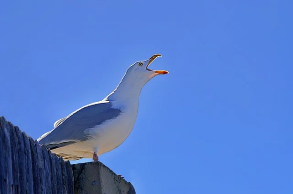 中考励志口号英文