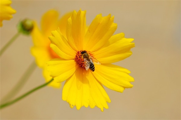 班级口号16字押韵 初中 运动会