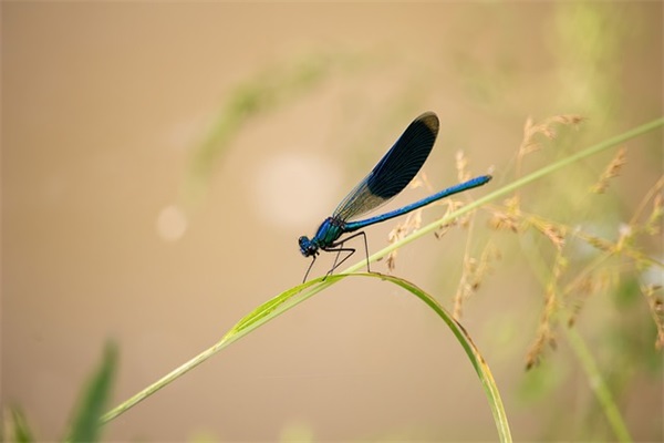 人销售口号大全字23句