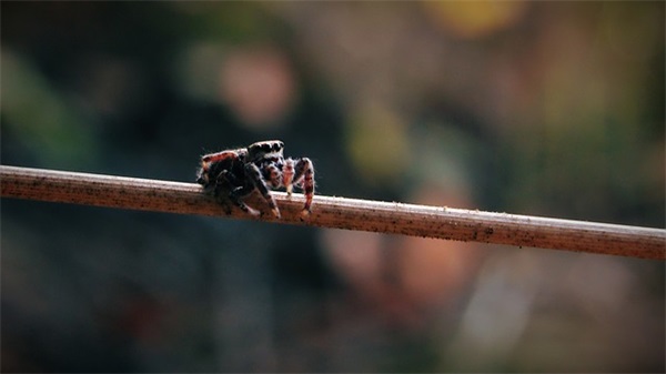 工期紧安全标语18句