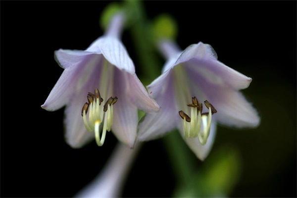 电商进农村宣传口号16句