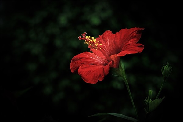 无线上网产品公司品牌口号