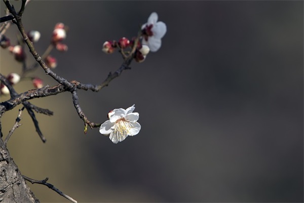 2026秋季运动会霸气口号