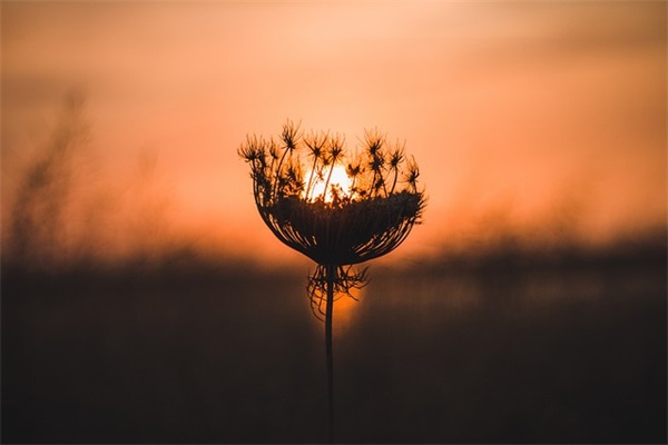 2026年世界无烟日经典宣传标语