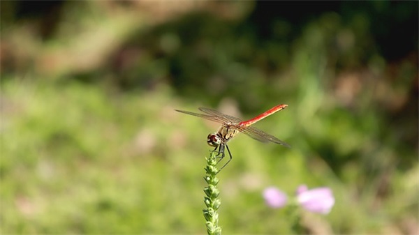 可爱口号大全39句