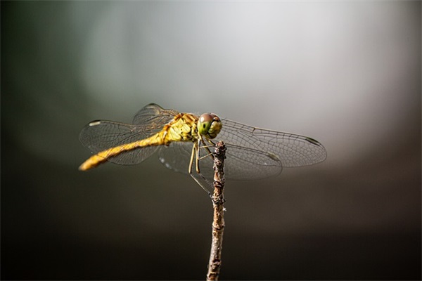 财政标语 财政局标语