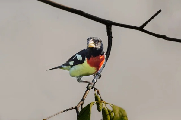 农经网宣传口号 怎样写宣传口号 农经网宣传口号 怎样写宣传口号