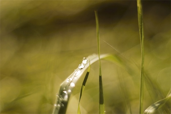 16字公司口号霸气押韵 催收公司口号霸气押韵 16字公司口号霸气押韵 催收公司口号霸气押韵