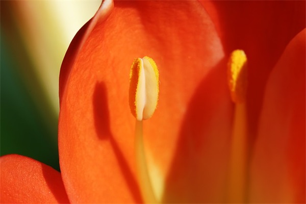 记录时光的句子 记录生活的短句子