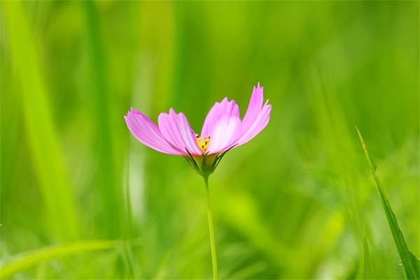 一段失败的婚姻的感悟 宣布自己离婚的句子