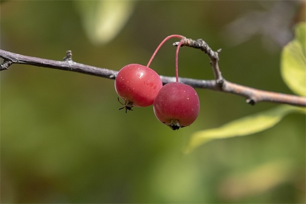 新的一天新的开始正能量句子