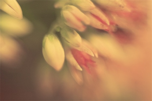 被别人玩弄感情的句子 有关感情的句子