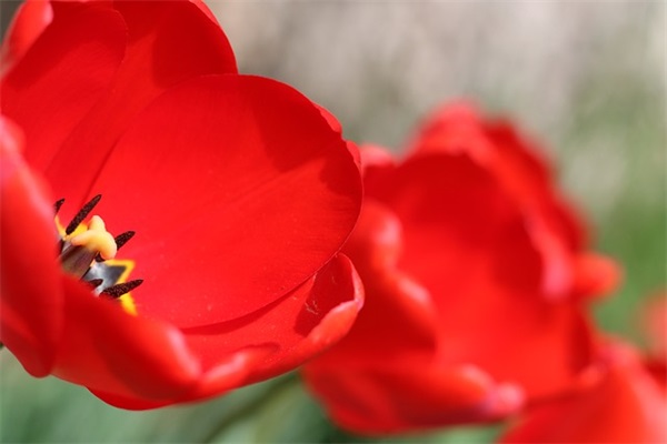 可以撩人心弦的句子