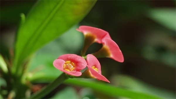 珍惜拥有的句子