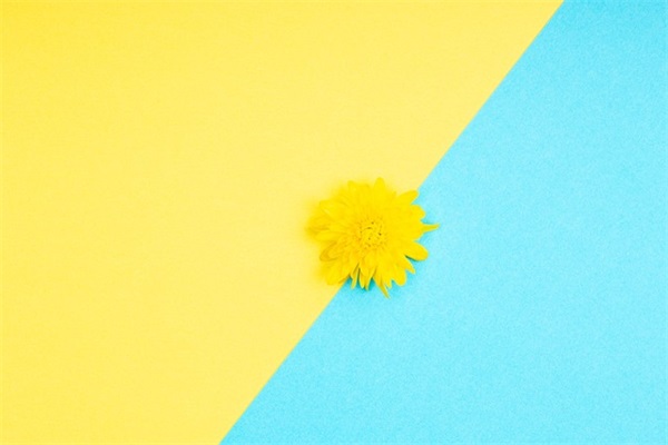 即也造句子二年级 无论还是都造句子二年级