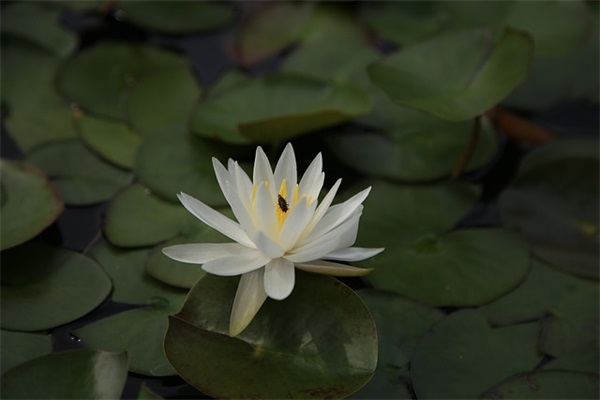 努力励志句子简短 激励自己励志的语段