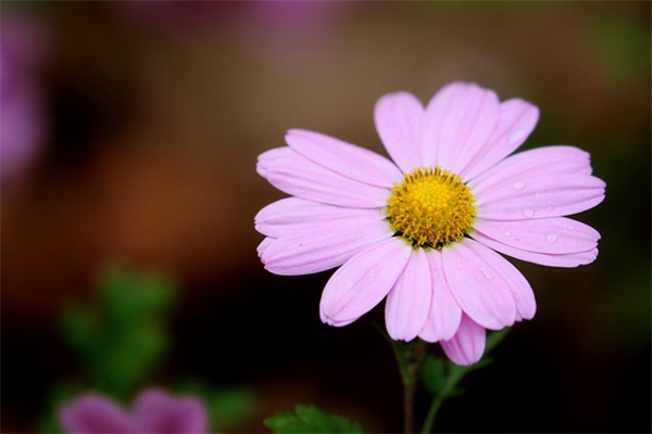 5.1微信祝福语82句