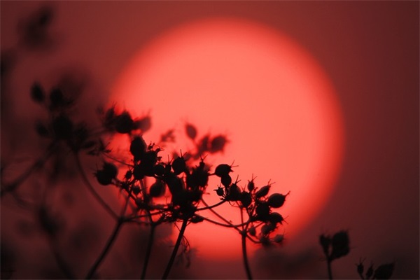 七夕送女朋友祝福语81句