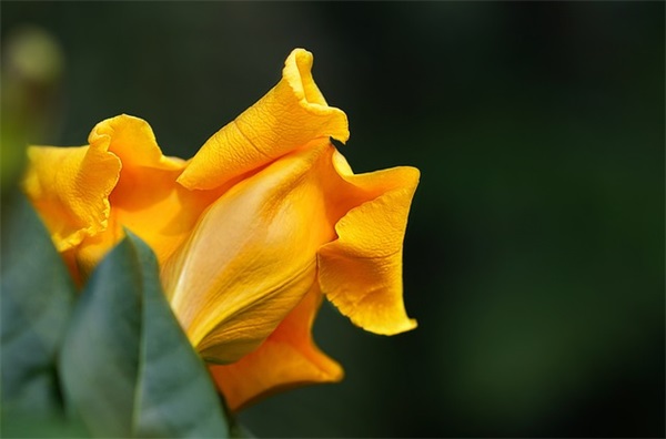 名人语录正能量句子