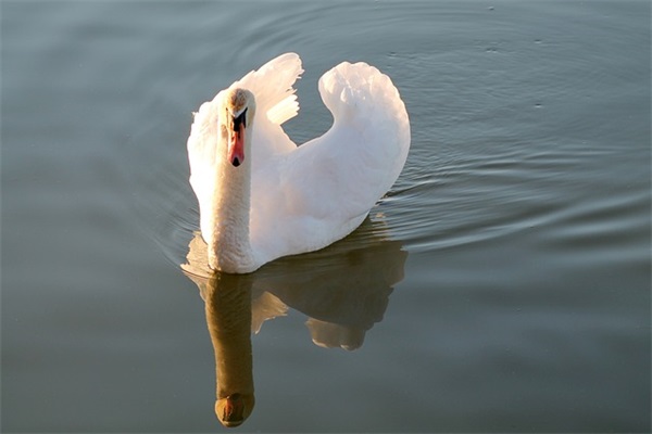 每日记录的心情语录