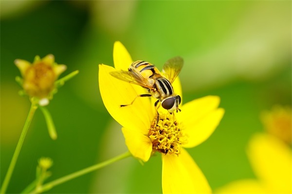 2026年几米的语录