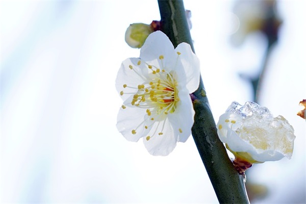 鼓励名言经典语录 鼓励经典语句 励志名言