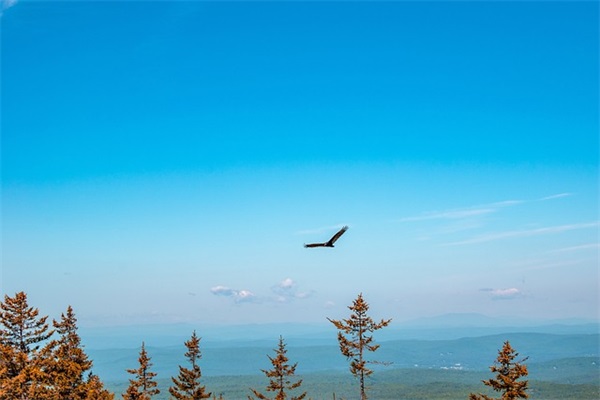 致青春的六十句语录60句