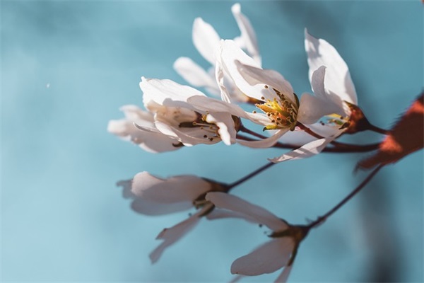 特别精辟的心灵鸡汤语录