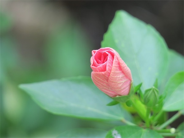 2026工作励志感言话语录(工作话经典励志语录)