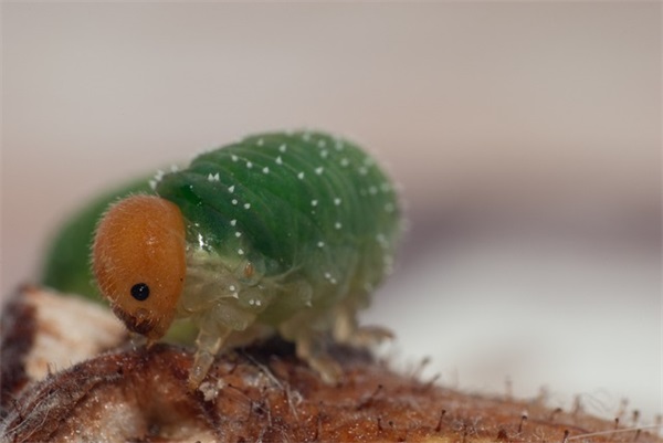 嫁错老公的经典语录 嫁错人过得很累的句子