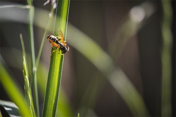 对爱人说的温馨爱情语录