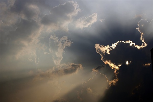 爱情进化论经典语录60句