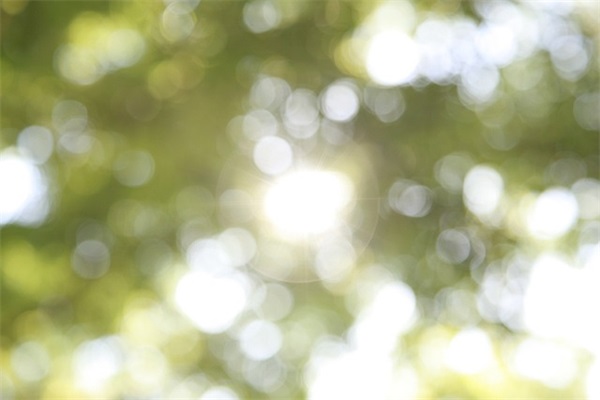 2026年50岁人生感悟经典语录