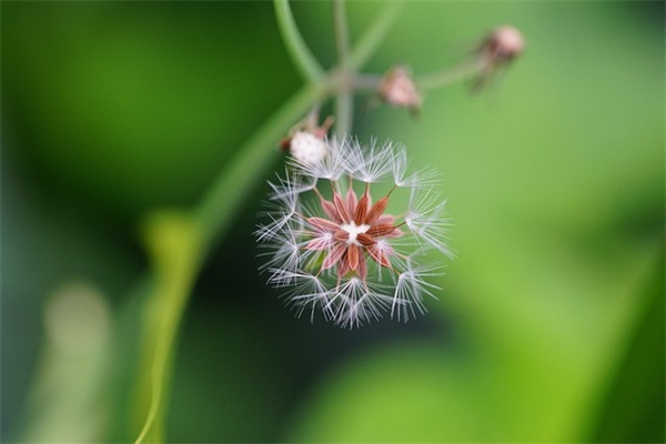 520文案句子 适合在520表白的感人语录