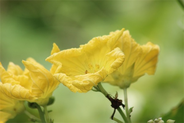 秦时明月全新语录91句